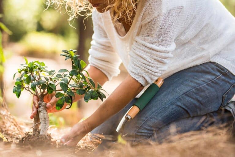 Giardinaggio ecologico